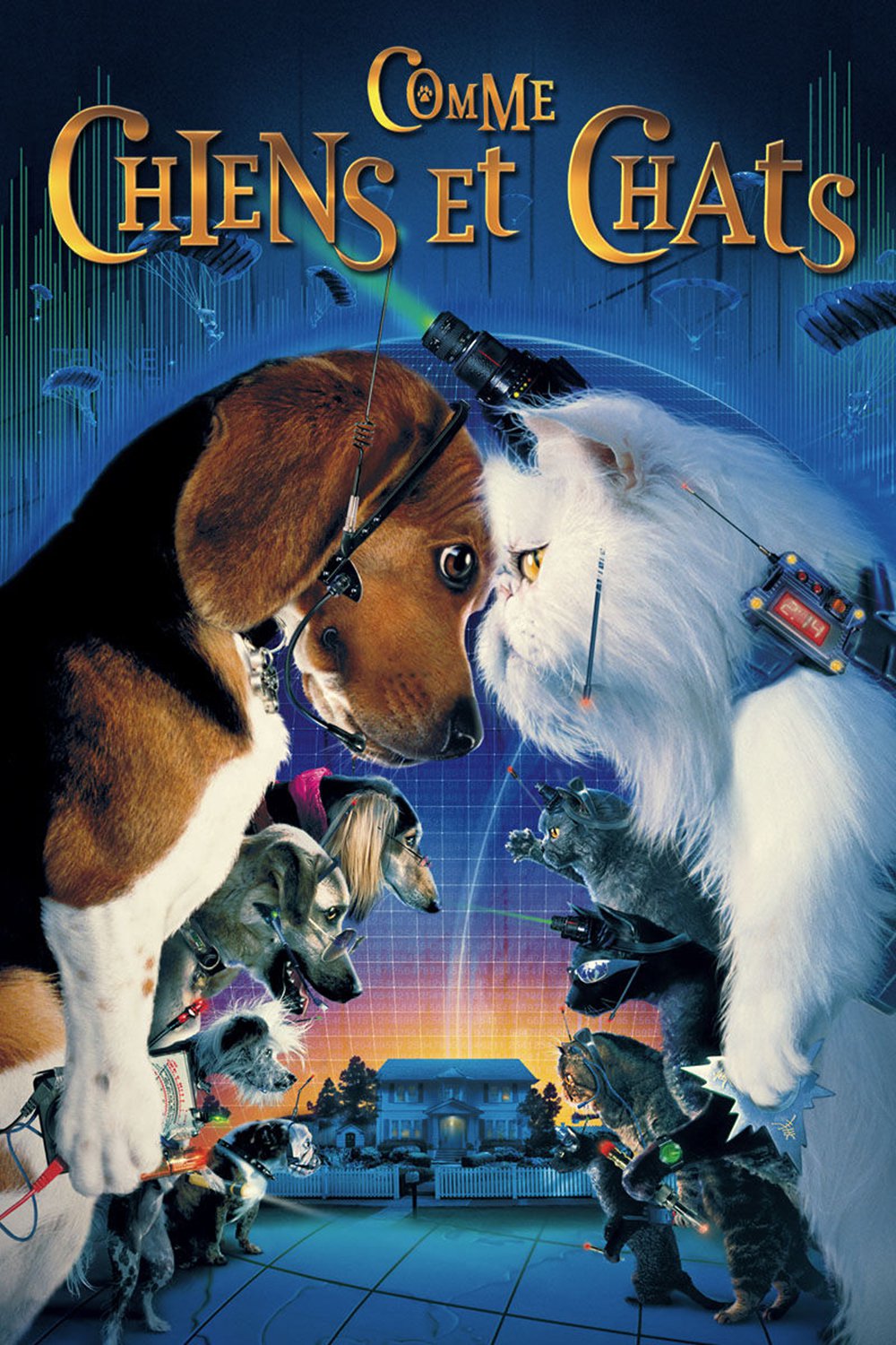 Comme Chiens Et Chats Film 01 Cineseries