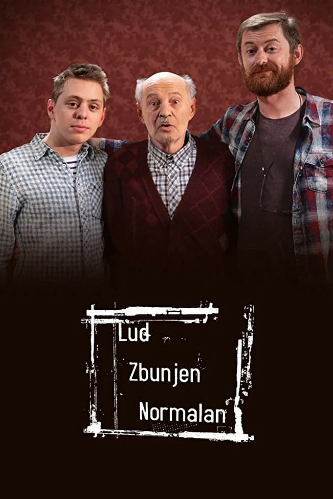 Lud, zbunjen, normalan