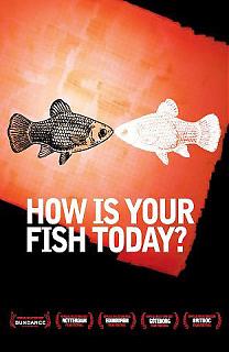 How is your fish today ?