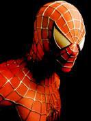 Un scénariste pour Spider-Man 5 et 6