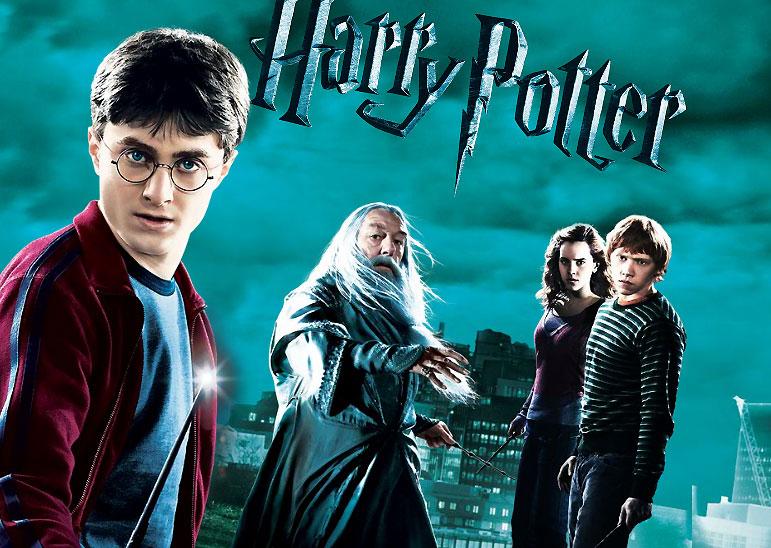 Harry Potter : Pour les Moldus les plus mordus (DVD)