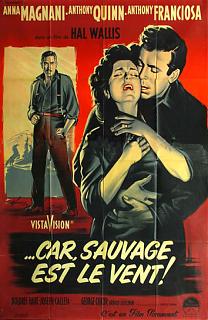 Car Sauvage Est Le Vent