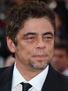 Brésil : Benicio del Toro compare la lutte des Sans-terre à celle du Che