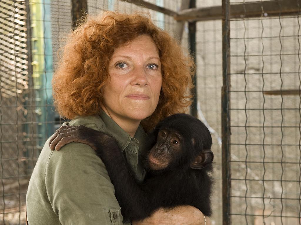 Bonobos : les singes pour les nuls (test DVD)
