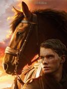 Une affiche pour le Cheval de Guerre de Steven Spielberg