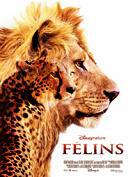 Disney Nature : Dans l'intimité des Félins (vidéo)
