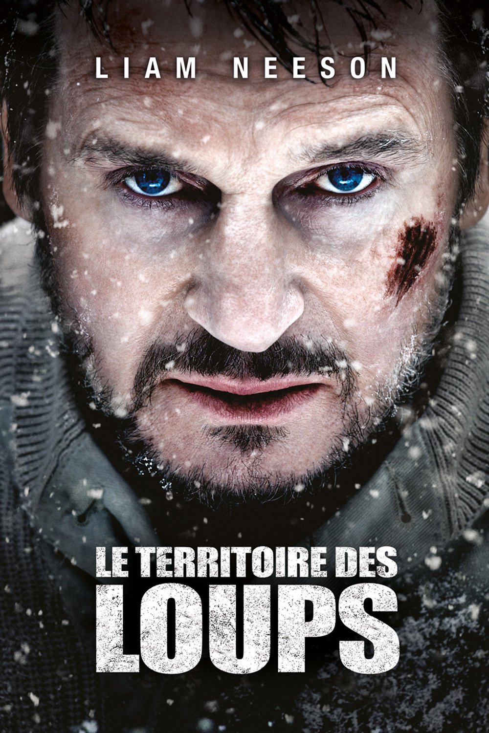 Le Temps du loup en DVD : Le Temps du loup - AlloCiné