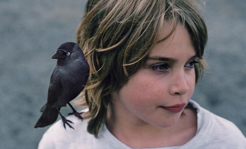 Little Bird : Ça plane pour Boudewijn Koole (Notre avis)