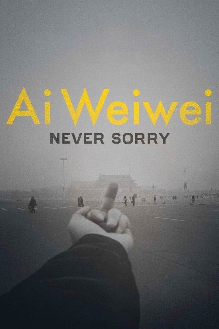 Ai weiwei : sans remords