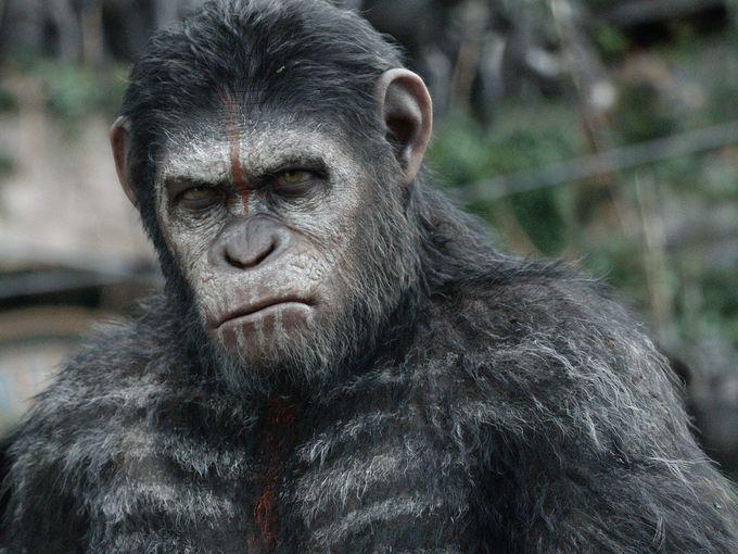 La planète des singes, l'affrontement : César (très) menaçant sur les nouvelles photos
