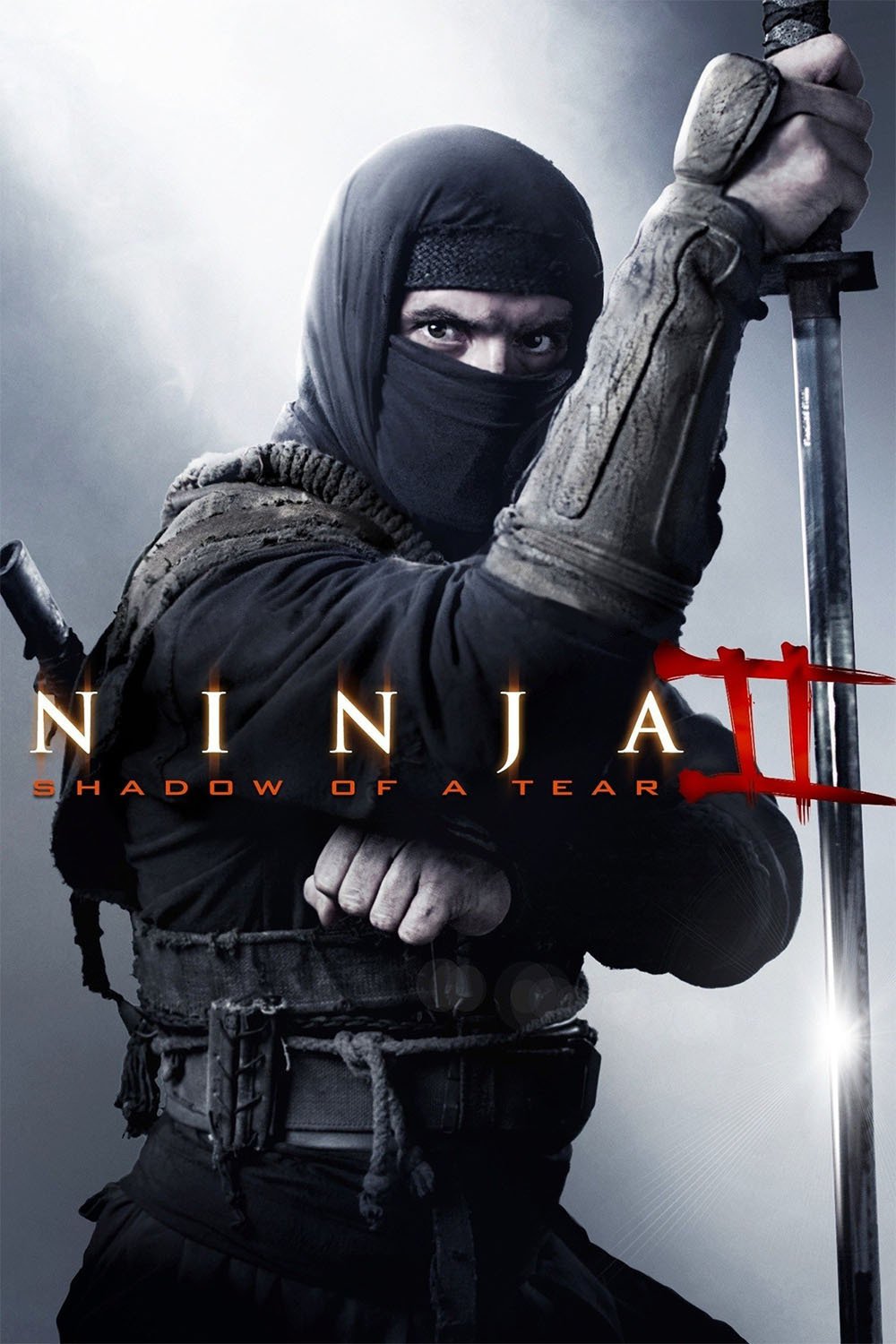 Ninja 2: Ombre d'une déchirure