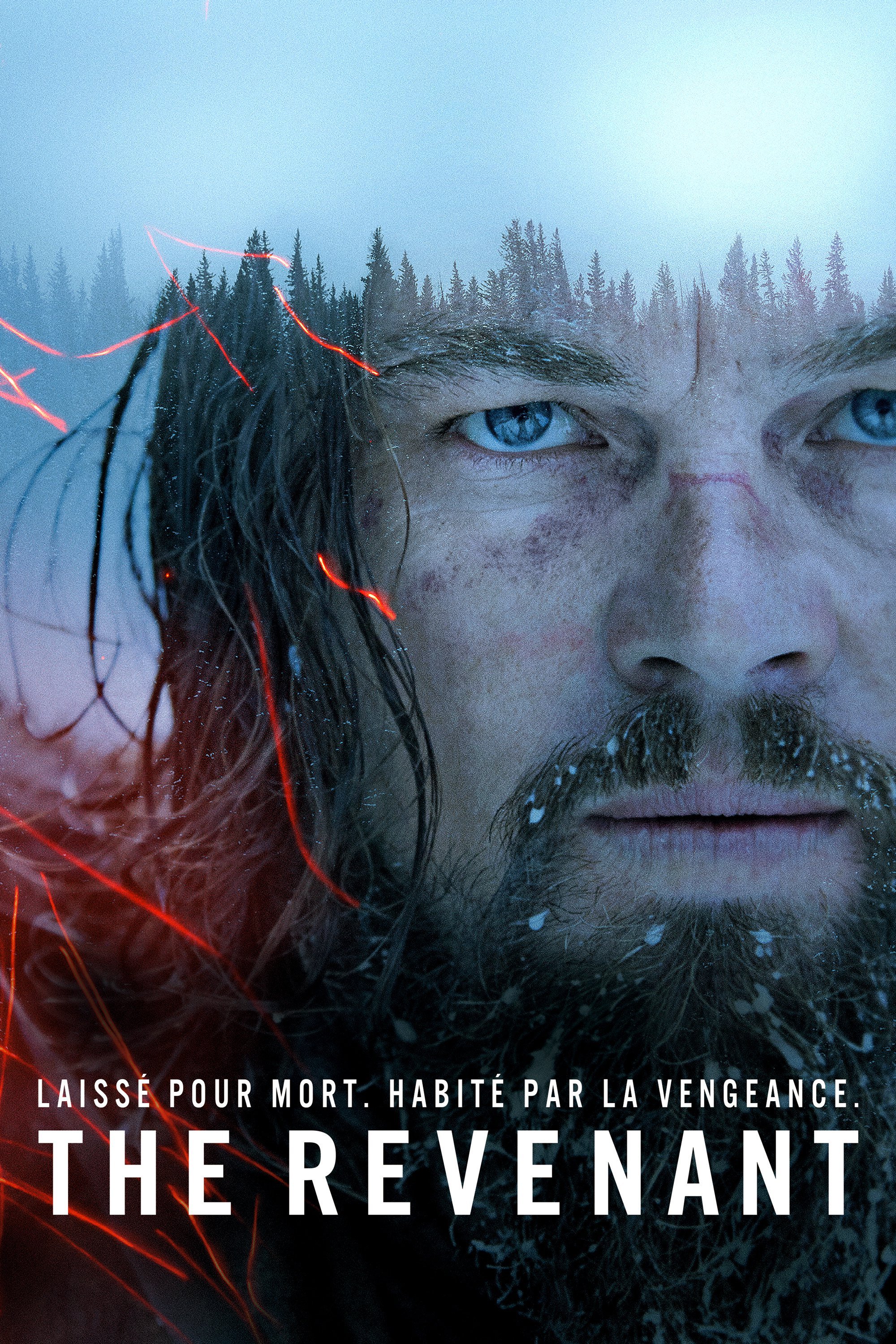 The Revenant : Comment Leonardo DiCaprio A Tourné La Scène Avec L'ours