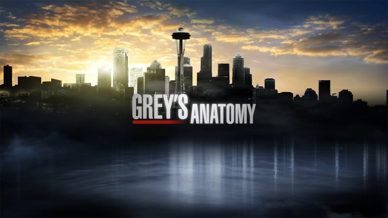Grey’s Anatomy : L’affiche de la saison 13 dévoilée