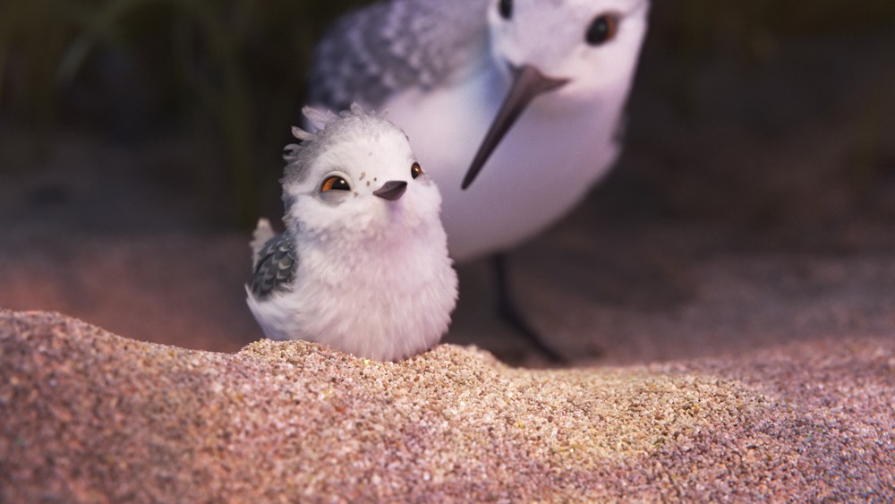 Piper, le sublime court métrage de Pixar qui fait (illégalement) le tour du Web