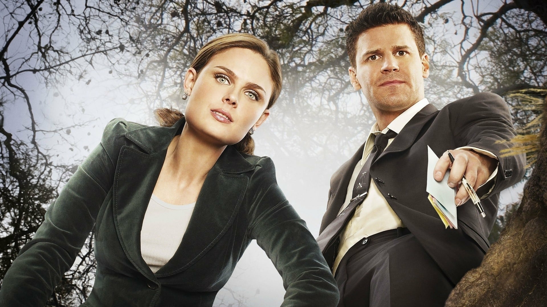 Bones (2005, Série, 12 Saisons) — CinéSérie