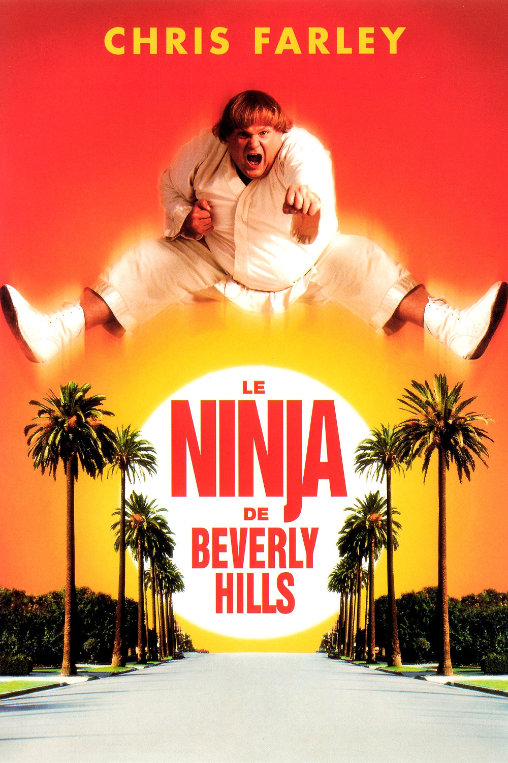 Le Ninja de Beverly Hills