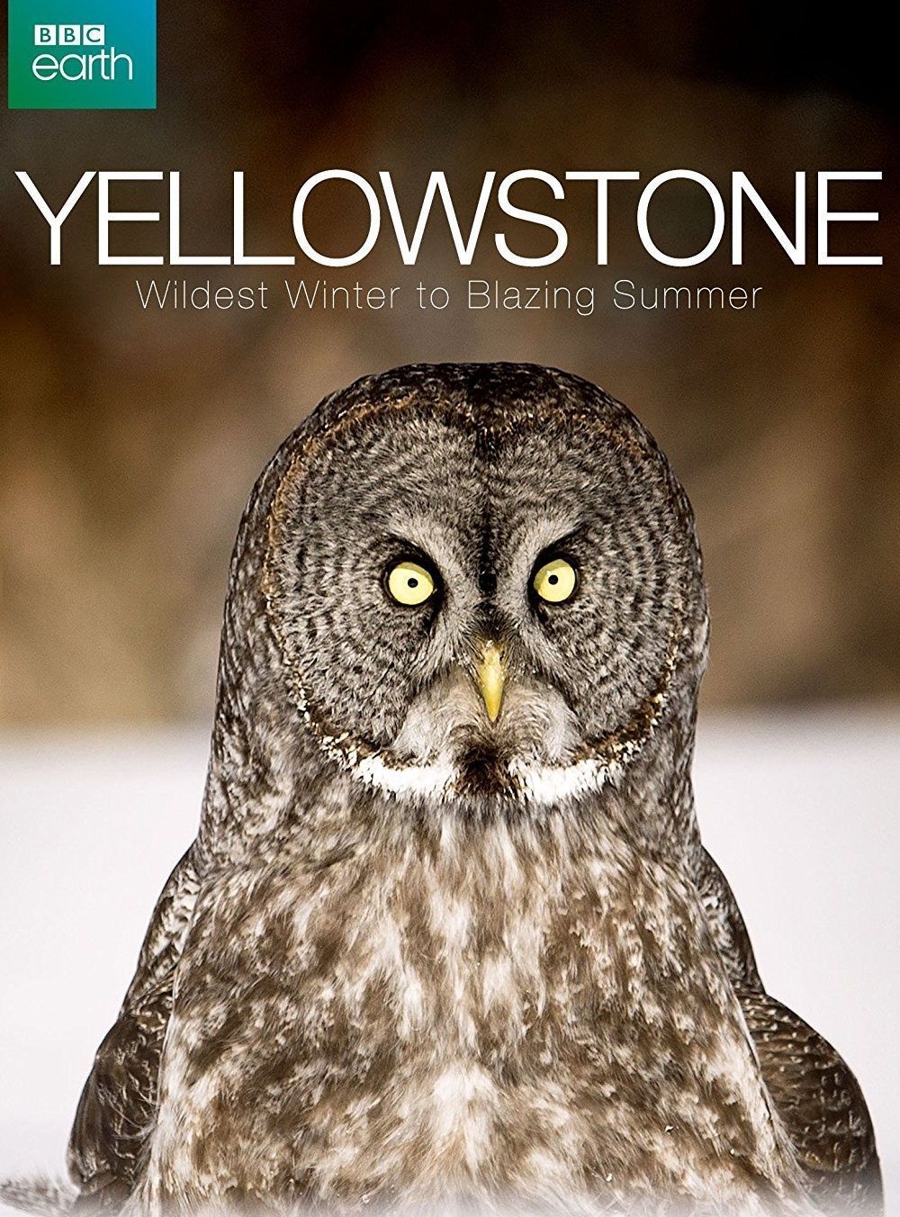Yellowstone: Wildest Winter to Blazing Summer