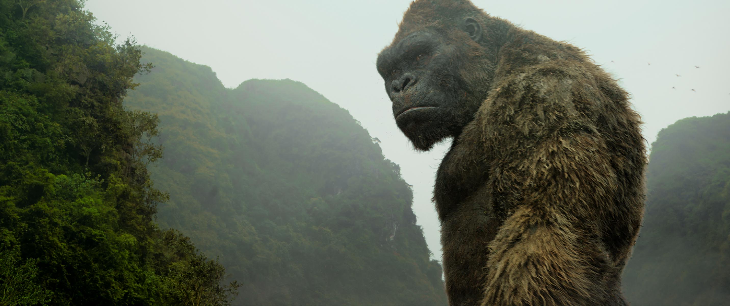 Kong Skull Island - Notre avis sur la version Imax 3D