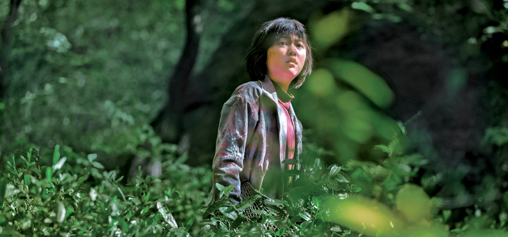 Okja : les principaux exploitants de Corée du Sud boycottent le film