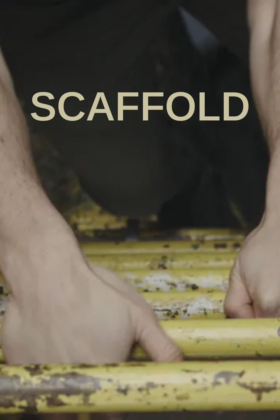 Scaffold