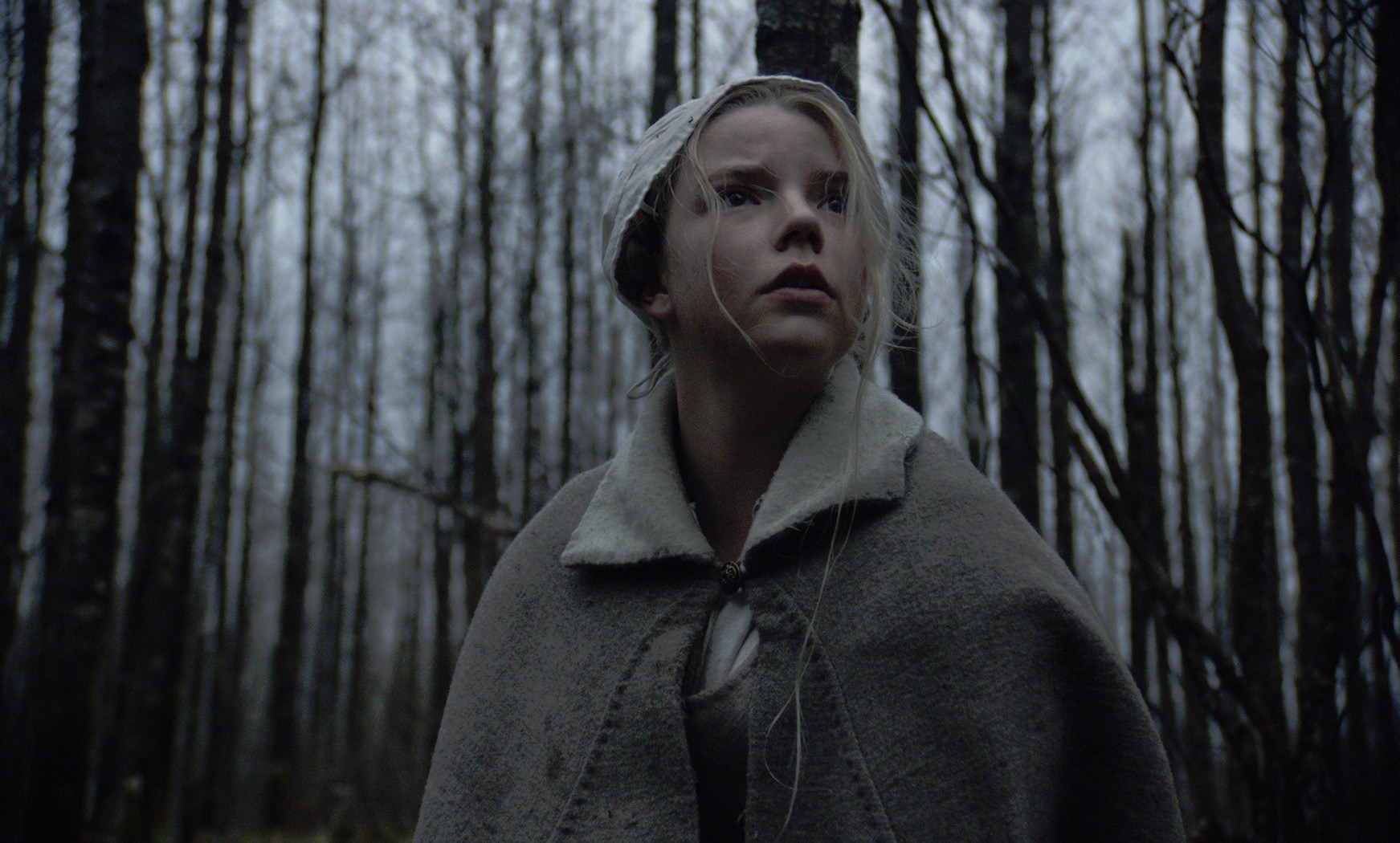 Anya Taylor-Joy dans un remake de Nosferatu par Robert Eggers ?