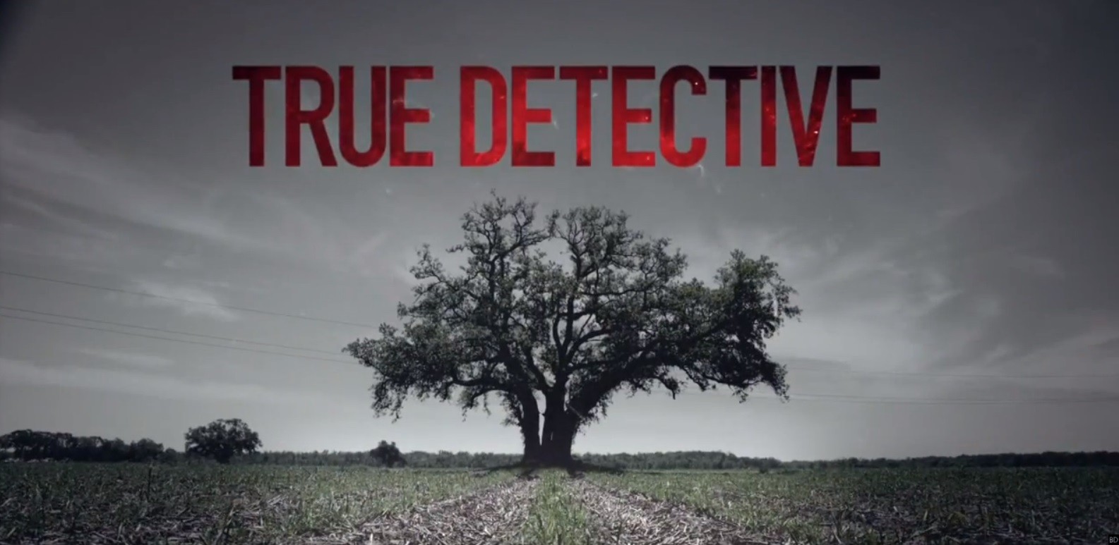 True Detective : on connait le réalisateur et le synopsis
