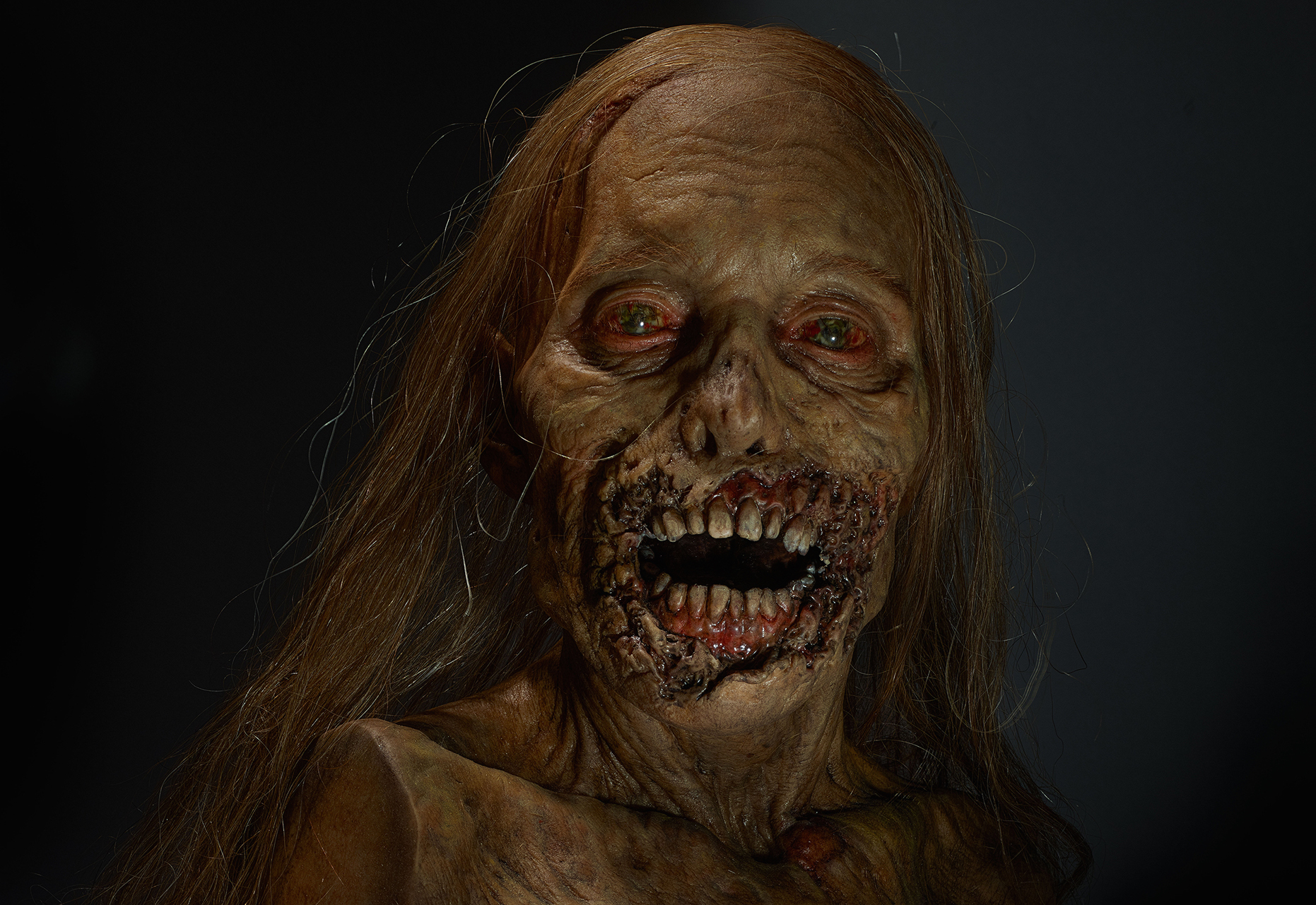 The Walking Dead : une expo au Smithsonian Museum