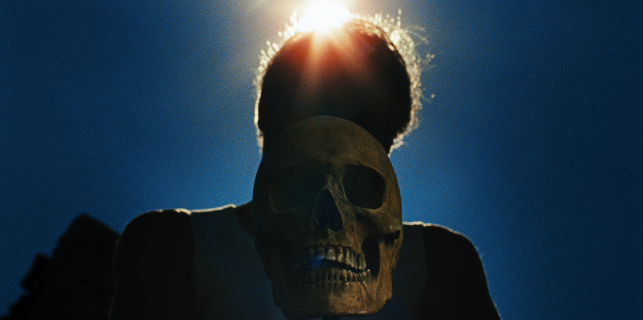 Laissez bronzer les cadavres - Notre avis