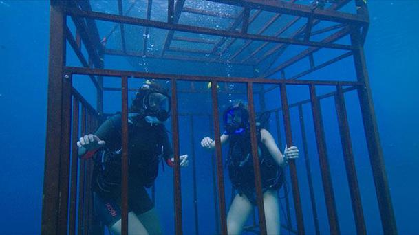 La suite de 47 Meters Down se dévoile