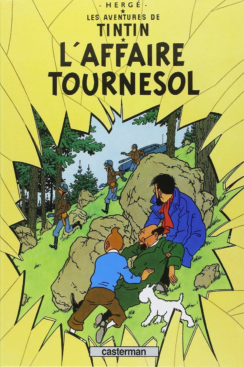 Les aventures de Tintin - Vol. 16, L'affaire Tournesol