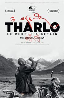 Tharlo, le Berger Tibétain