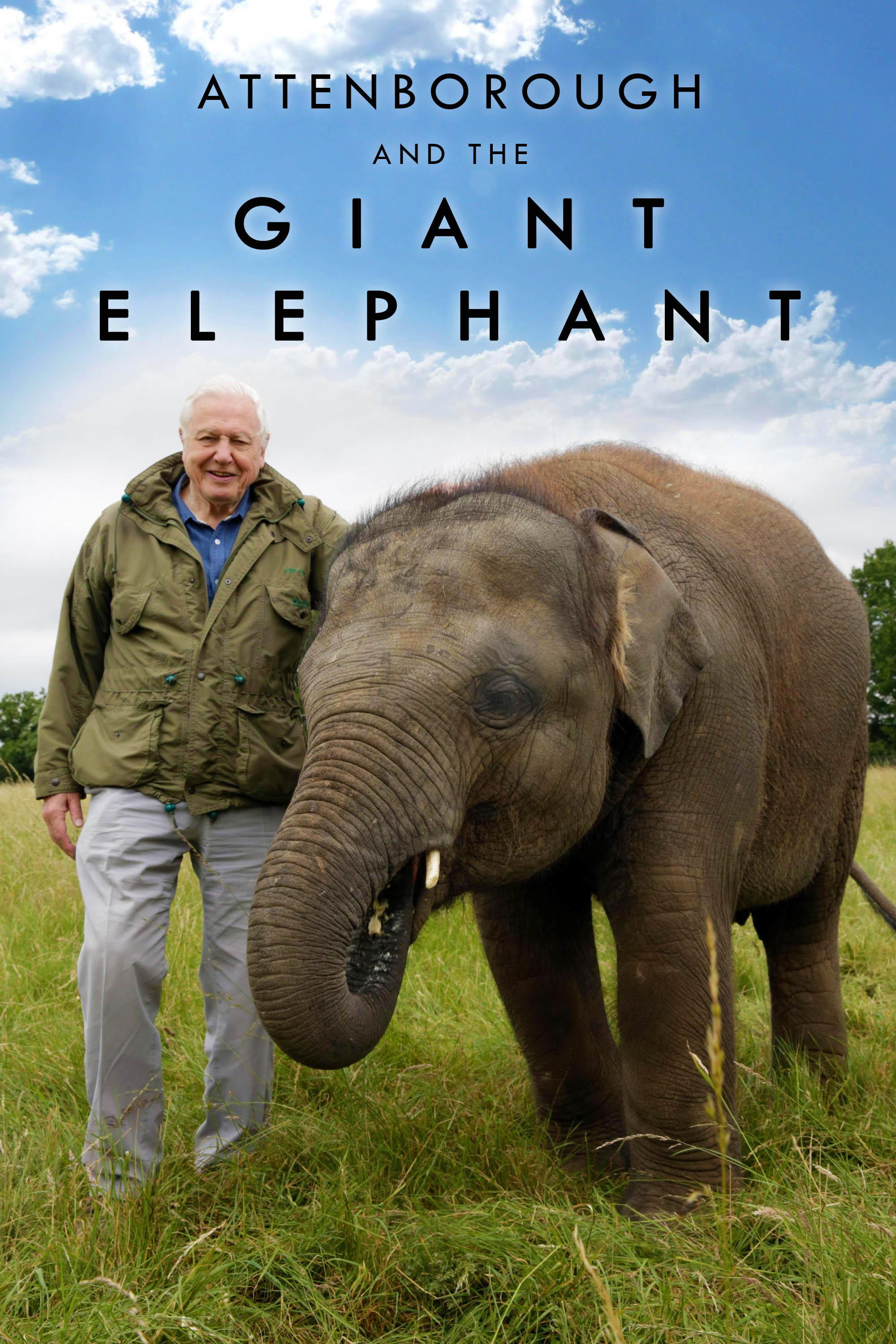 Attenborough and the Giant Elephant