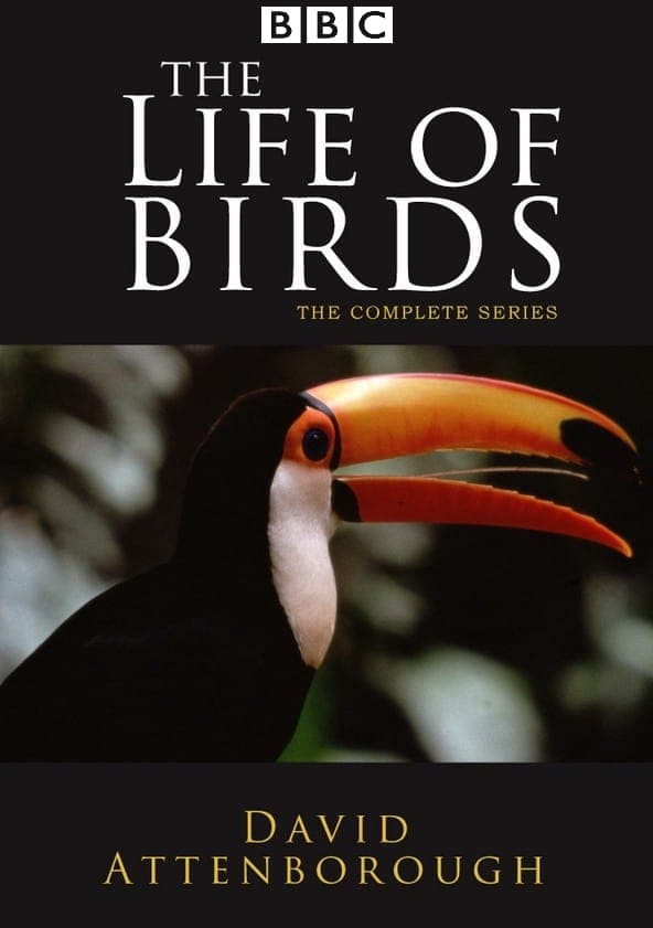 The Life of Birds