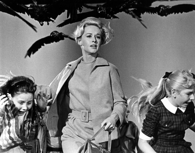 Gros Plan : Les Oiseaux d'Alfred Hitchcock