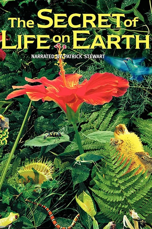 Le secret de la vie sur terre