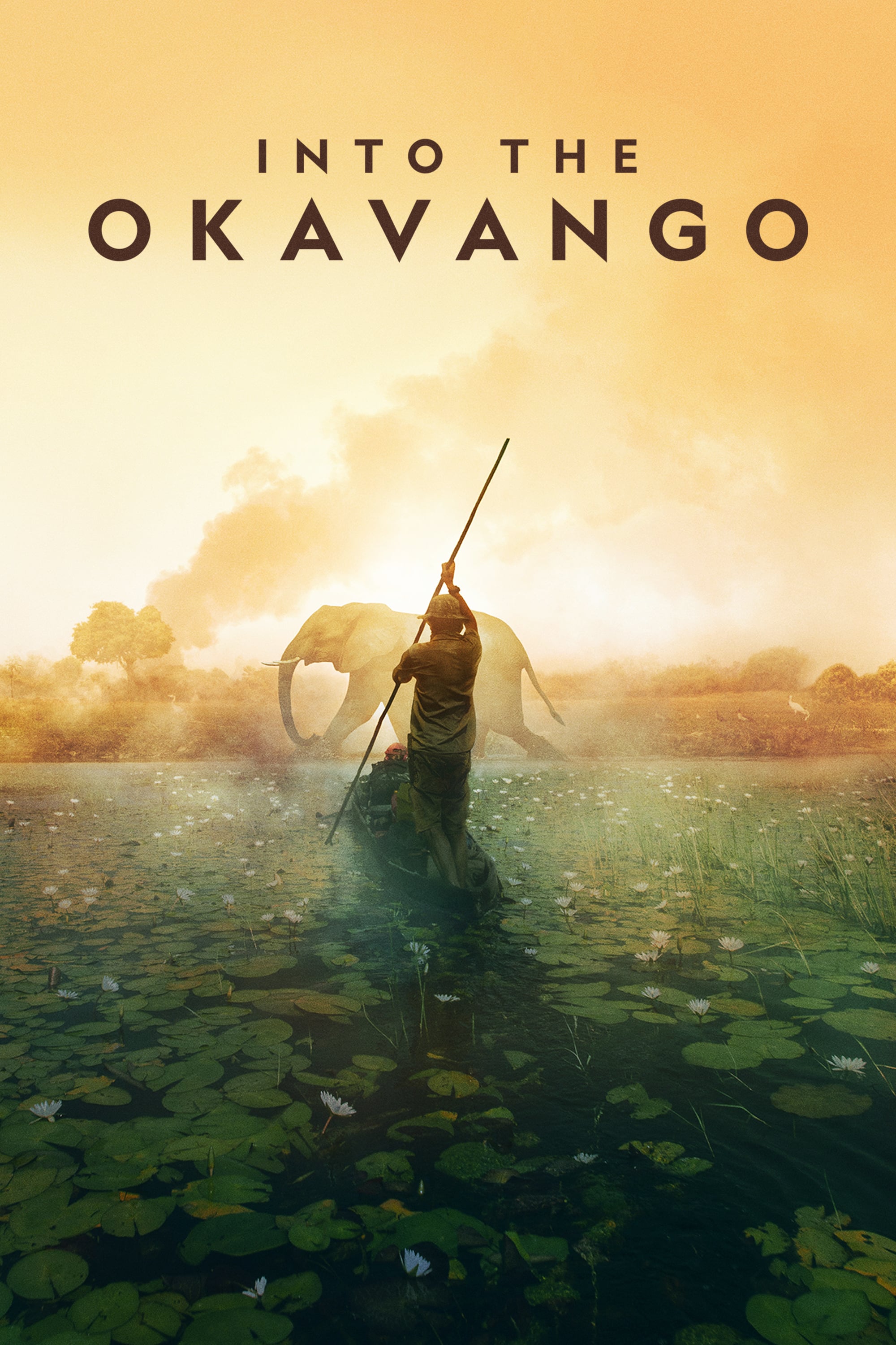 Au cœur de l'Okavango