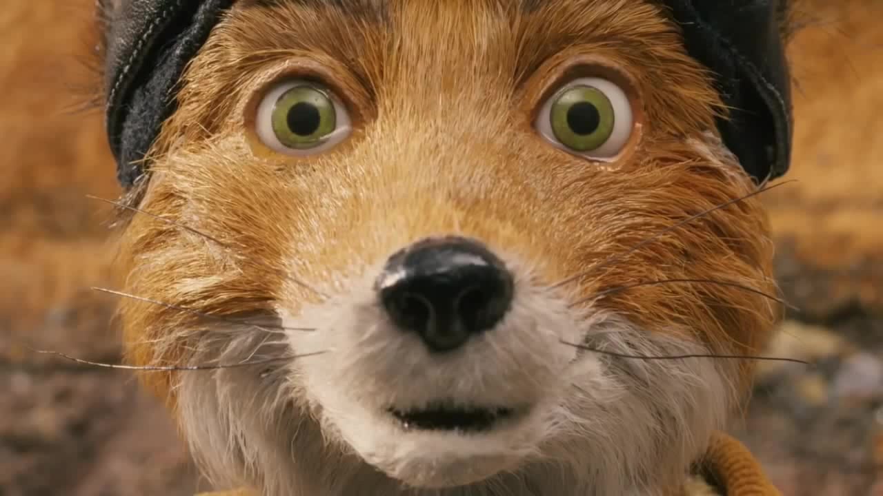 Fantastic Mr. Fox et le retour à la nature de Wes Anderson