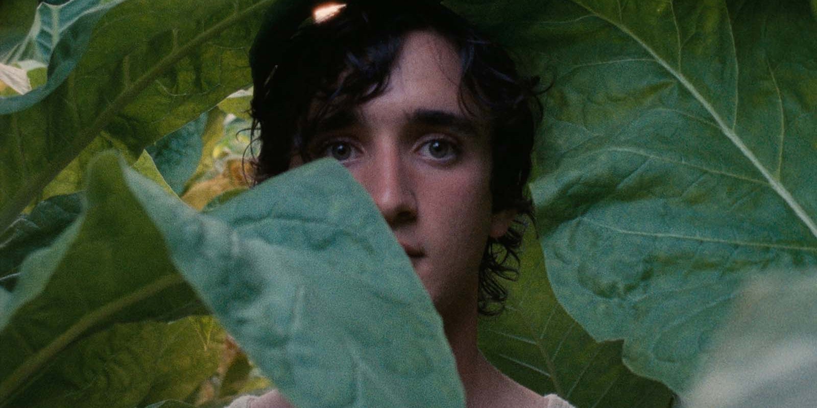 Heureux comme Lazzaro : bientôt les bienheureux