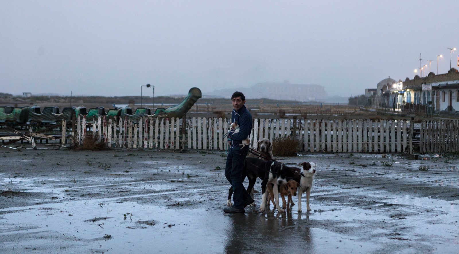 Dogman : les chiens de la casse