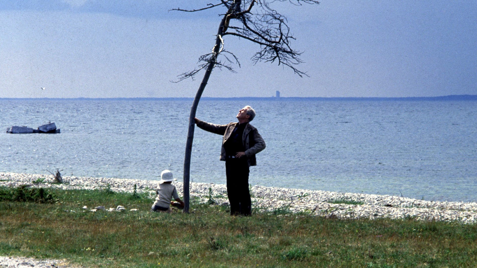 Le Sacrifice : l'arbre de vie d'Andreï Tarkovski