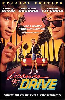 License to drive