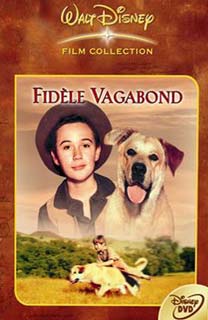 Fidèle Vagabond