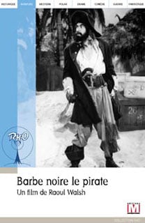 Barbe-Noire Le Pirate