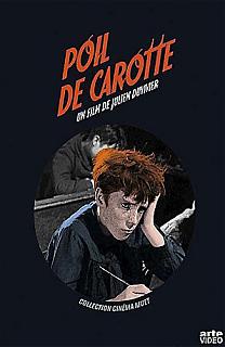 Poil de carotte