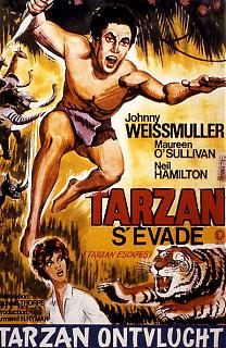 Tarzan S'évade
