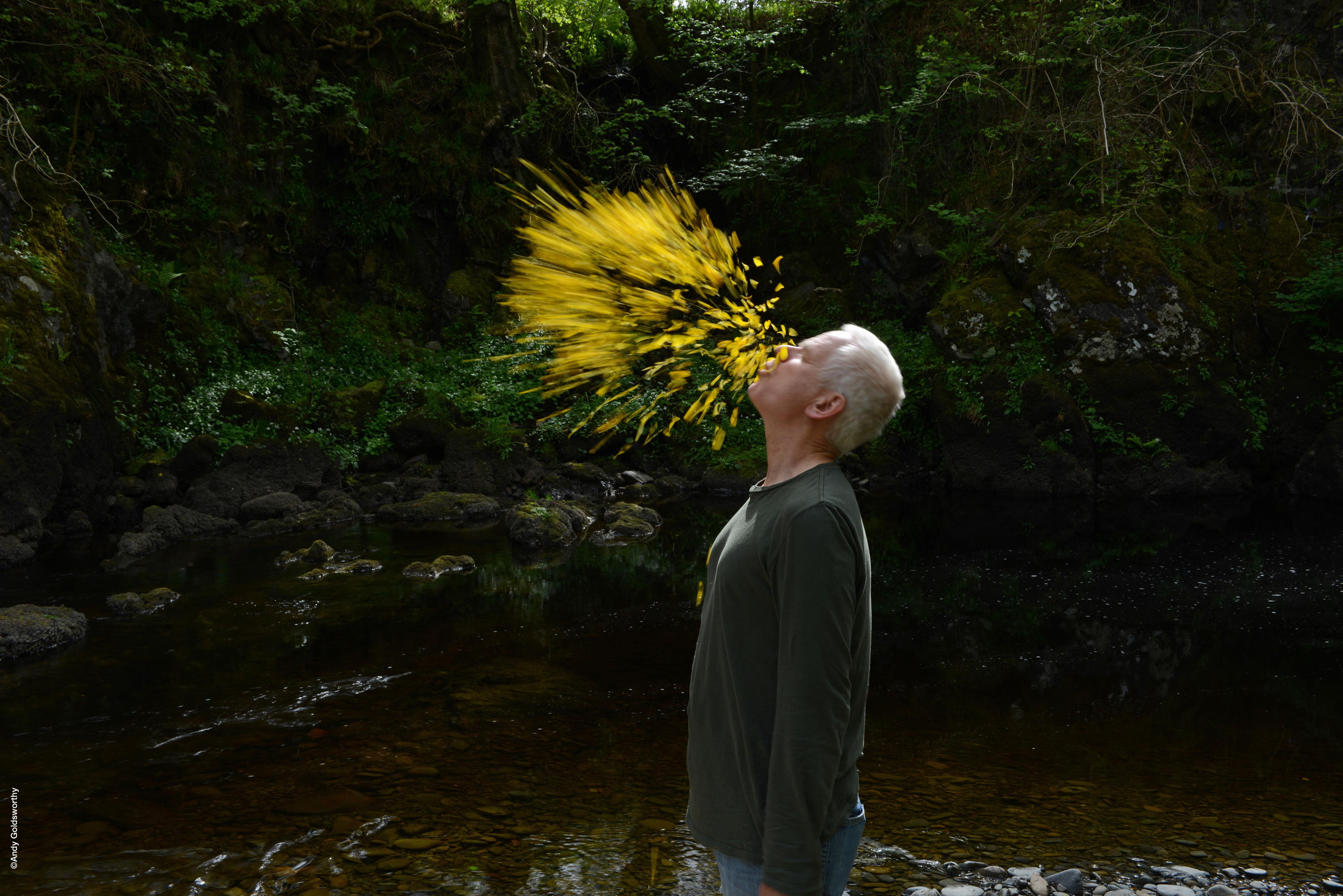 Penché dans le vent : une plongée dans l'esprit d'un artiste fascinant