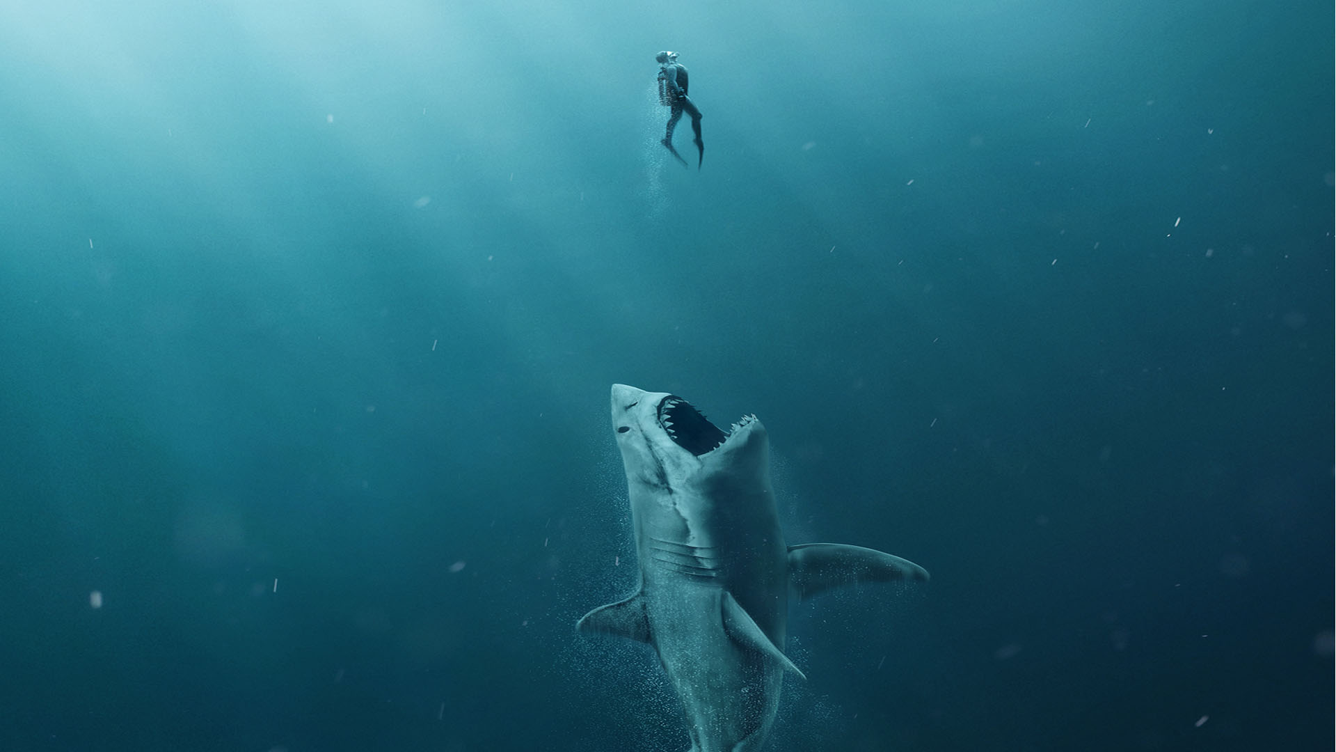 En eaux troubles : le requin géant a trouvé son déjeuner