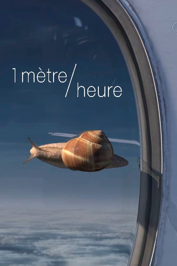 1 mètre/heure