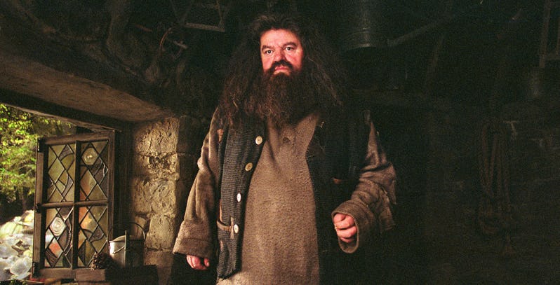 Les Animaux Fantastiques 3 : Eddie Redmayne veut Hagrid