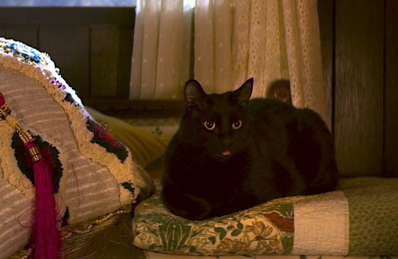 Les nouvelles aventures de Sabrina : on sait pourquoi Salem ne parle pas